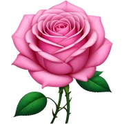 pink
 sticker
