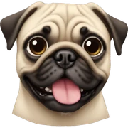 Pug sticker
