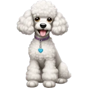 Poodle  sticker