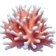 coral sticker