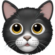 Cat black fur  sticker