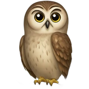 Owl sticker