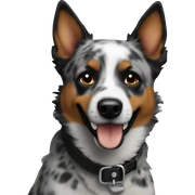 Heeler sticker