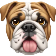 English bulldog  sticker