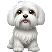Maltese sticker