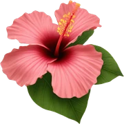 hibiscus flower  sticker