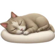 Sleeping cat sticker