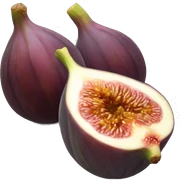 Fig sticker