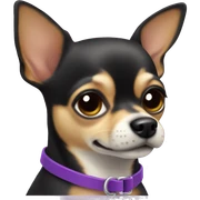 Chihuahua with purple collar sticker