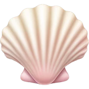 light Pink and beige seashell  sticker