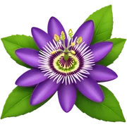 Hyperrealistic ultra detailed 3d rendering, isolated vivid passion flowers  sticker