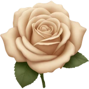 beige rose sticker