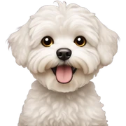 maltipoo sticker