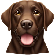 Chocolate lab sticker