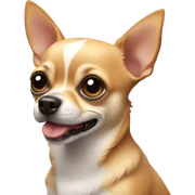 Chihuahua  sticker