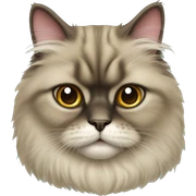 Persian cat sticker