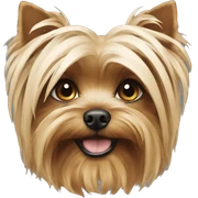 Yorki sticker