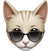 Cat with sunglasses sticker