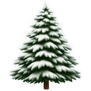  actual white fir christmas tree isolated.  sticker