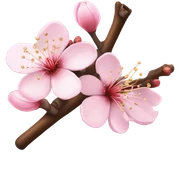 Cherry Blossom sticker