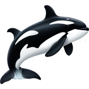 orca sticker