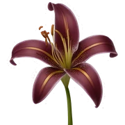 realistic burgundy lily sticker
