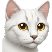 Cat sticker