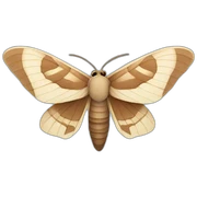 Moth sticker