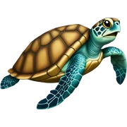 Sea turtle sticker