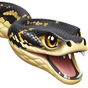 Python sticker