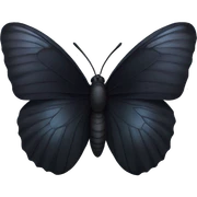 Black butterfly sticker
