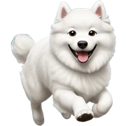 Samoyed running sticker
