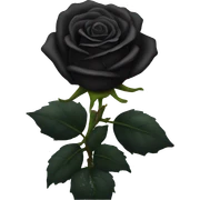 Black roses sticker