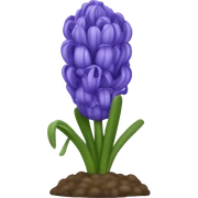 hyacinth sticker