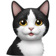 black and white cat sticker