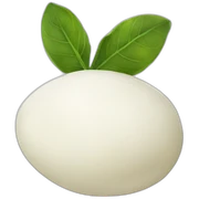 mozzarella sticker