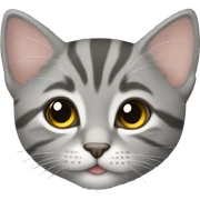 Gray tabby kitten laying sticker