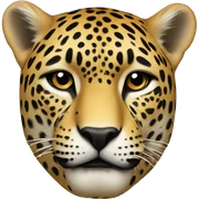 A jaguar in fancy way sticker