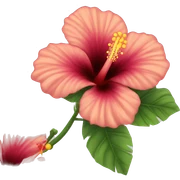 Hibiscus flower sticker