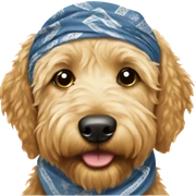 Golden doodle with bandana sticker