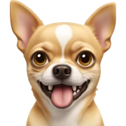 Angry Chihuahua  sticker