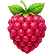 Raspberry  sticker