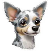 Blue merle chihuahua sticker