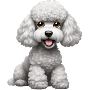 Poodle sticker