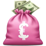 Pink bag of money  sticker