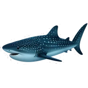 Whale Shark is  sticker