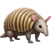 armadillo sticker