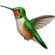 a hummingbird sticker