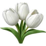 White tulips sticker