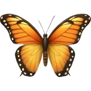 butterfly sticker